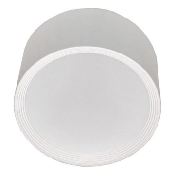 LED Stropna svetilka PERCI LED/30W/230V IP40 4000K bela