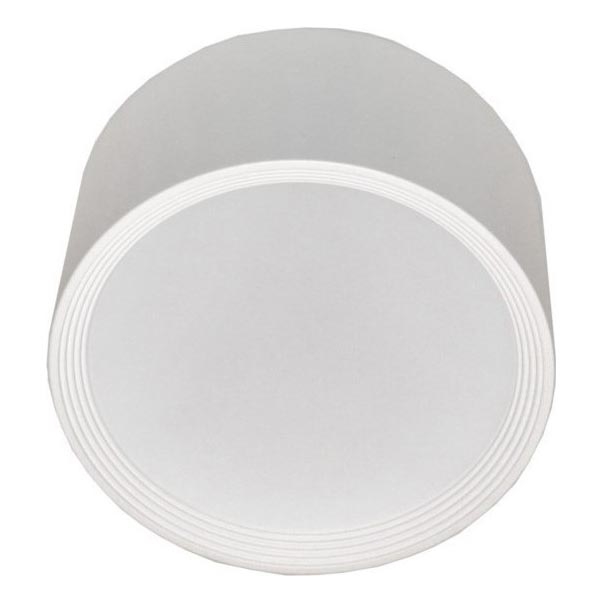 LED Stropna svetilka PERCI LED/30W/230V IP40 4000K bela