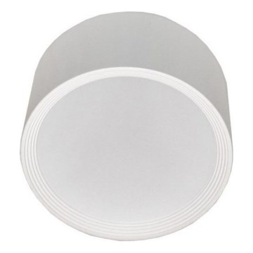 LED Stropna svetilka PERCI LED/30W/230V IP40 4000K bela