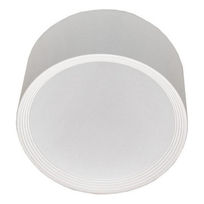LED Stropna svetilka PERCI LED/30W/230V IP40 4000K bela
