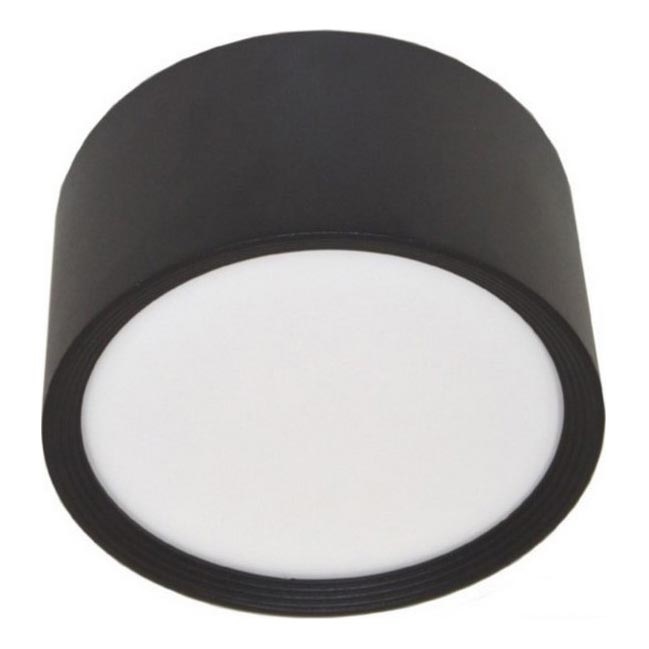 LED Stropna svetilka PERCI LED/30W/230V IP40 4000K črna