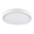 LED Stropna svetilka PERSE LED/15W/230V bela