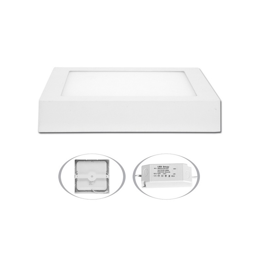 LED Stropna svetilka RAFA LED/18W/230V 2700K