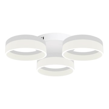 LED Stropna svetilka RING 3xLED/12W/230V bela