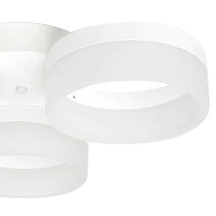 LED Stropna svetilka RING 3xLED/12W/230V bela