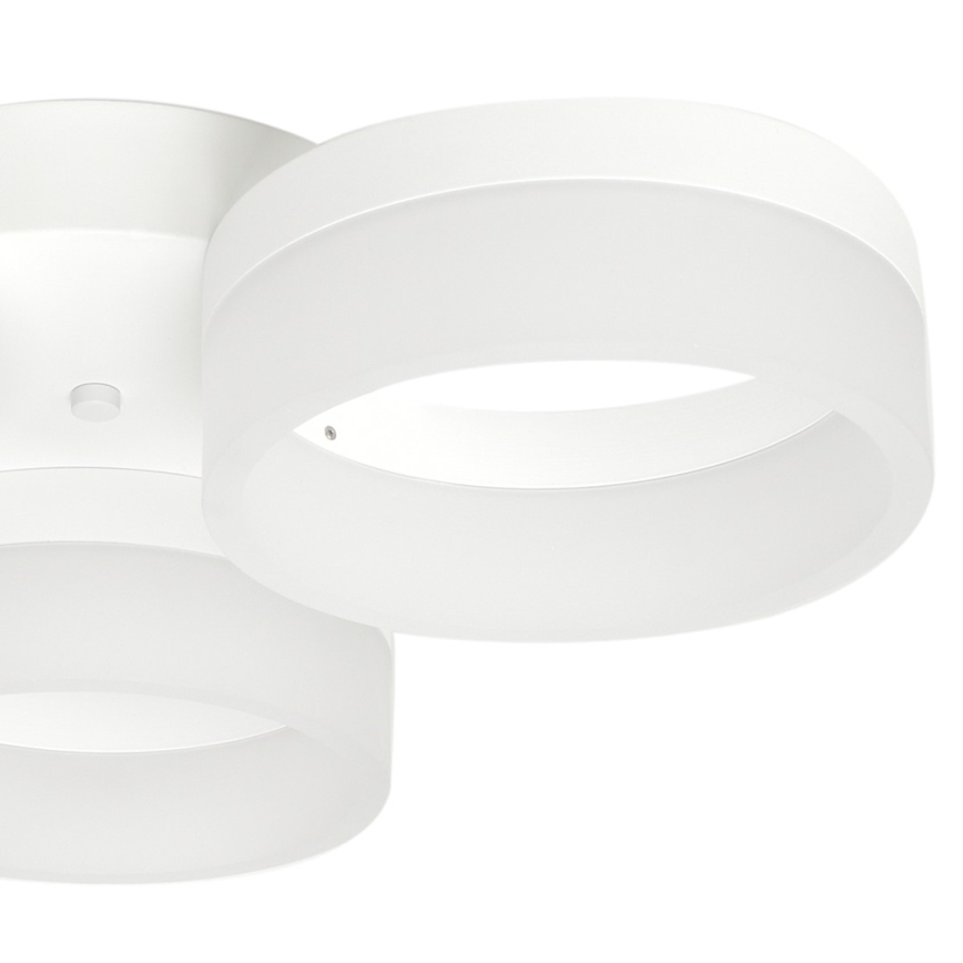 LED Stropna svetilka RING 3xLED/12W/230V bela