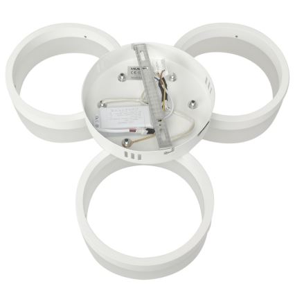 LED Stropna svetilka RING 3xLED/12W/230V bela