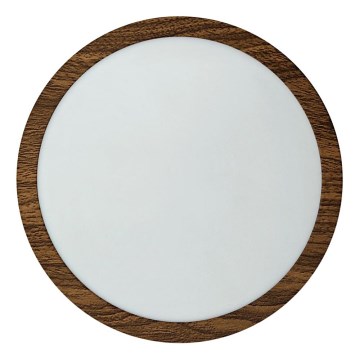 LED Stropna svetilka RING LED/18W/230V 4200K pr. 21 cm rjava