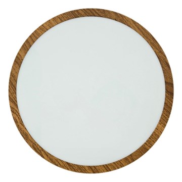 LED Stropna svetilka RING LED/24W/230V 4200K pr. 28,5 cm rjava