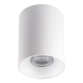 LED Stropna svetilka RITI 1xGU10/25W/230V bela