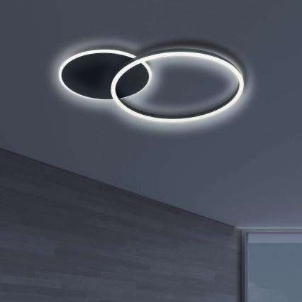LED Stropna svetilka ROMAN LED/33W/230V 4000K črna