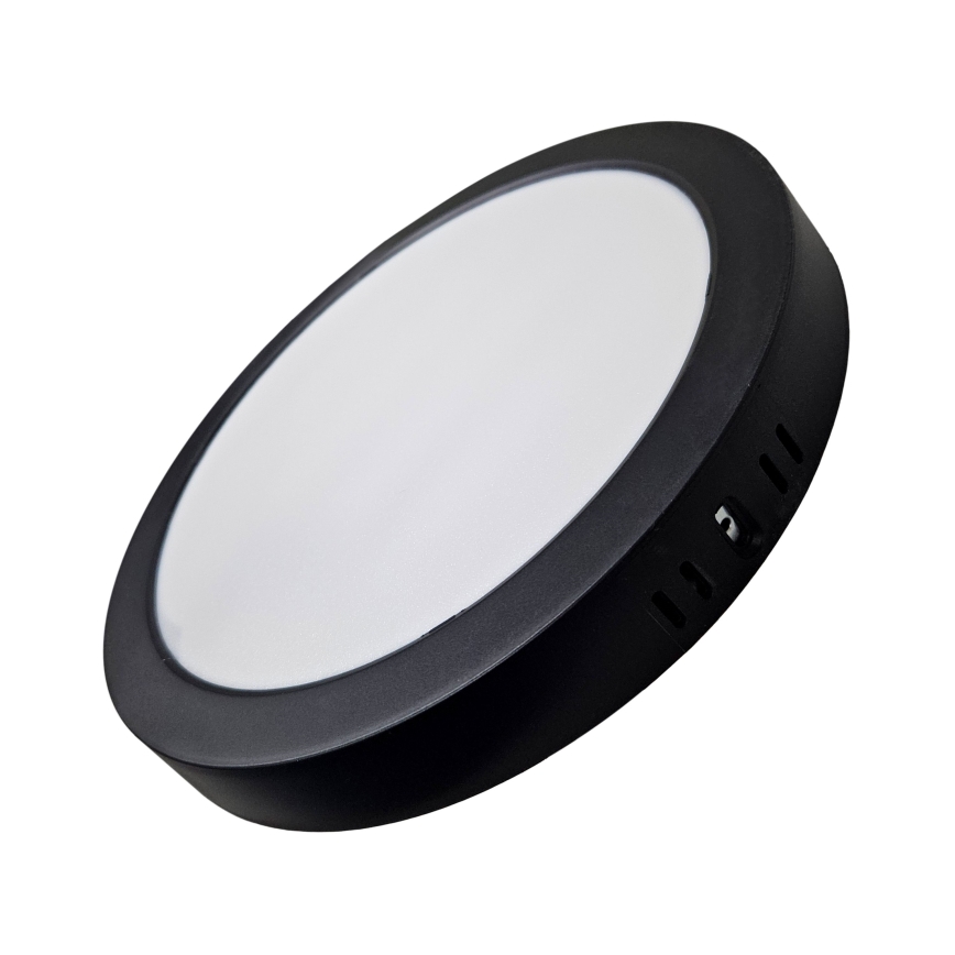 LED Stropna svetilka ROUND LED/24W/230V 4000K pr. 28,8 cm črna