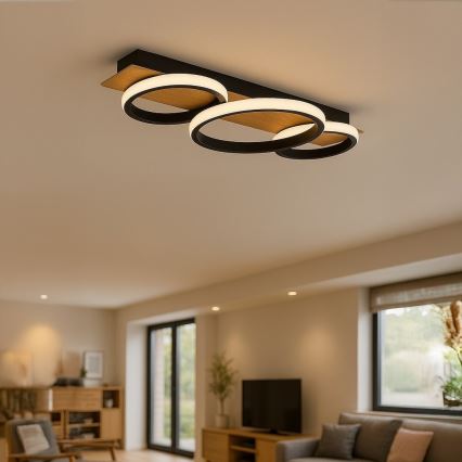 LED Stropna svetilka ROWENA LED/18W/230V črna/rjava