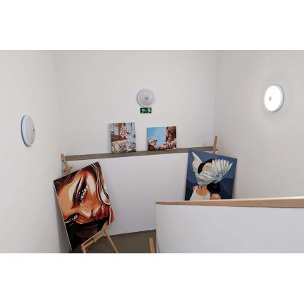 LED stropna svetilka s senzorjem gibanja in mraka LED/20 W/230 V, premer 29 cm, bela