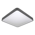 LED stropna svetilka s senzorjem gibanja in mraka WILTON LED/24W/230V 4000K 33x33 cm antracit