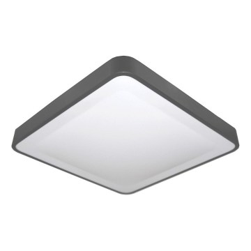 LED stropna svetilka s senzorjem gibanja in mraka WILTON LED/24W/230V 4000K 33x33 cm antracit