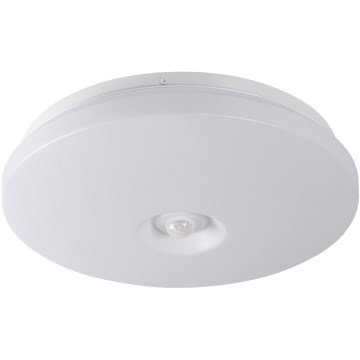 LED stropna svetilka s senzorjem gibanja in senzorjem mraka FOGLER LED/12W/230V, premer 28 cm