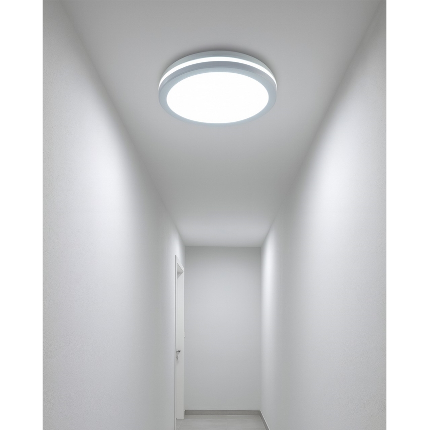 LED kopalniška stropna svetilka s senzorjem gibanja, 20 W, 230 V, 3000/4000/6500 K, premer 23 cm, IP54, bela