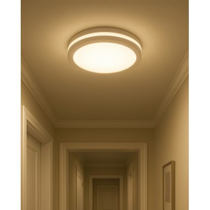 LED kopalniška stropna svetilka s senzorjem gibanja, 20 W, 230 V, 3000/4000/6500 K, premer 23 cm, IP54, bela