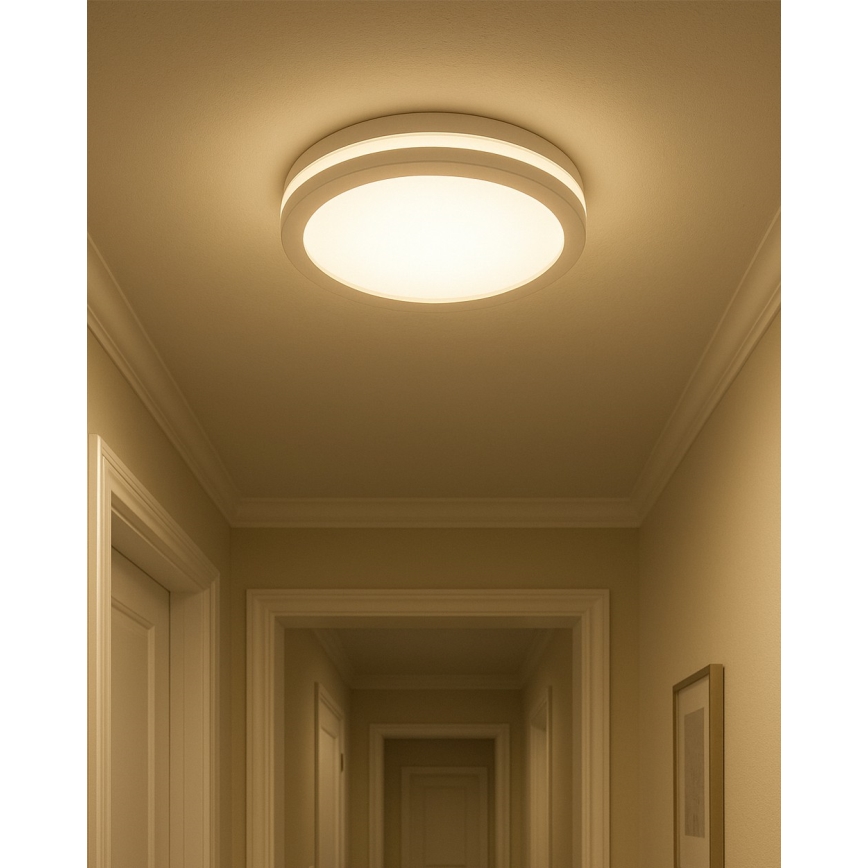 LED kopalniška stropna svetilka s senzorjem gibanja, 20 W, 230 V, 3000/4000/6500 K, premer 23 cm, IP54, bela