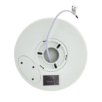 LED kopalniška stropna svetilka s senzorjem gibanja, 20 W, 230 V, 3000/4000/6500 K, premer 23 cm, IP54, bela