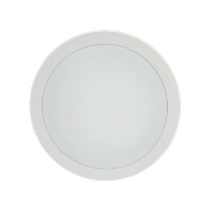 LED stropna svetilka s senzorjem gibanja LED/20W/230V 3000/4000/6500K premer 230 cm IP54 siva