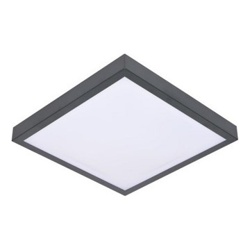 LED Stropna svetilka s senzorjem VITALI LED/24W/230V 4000K