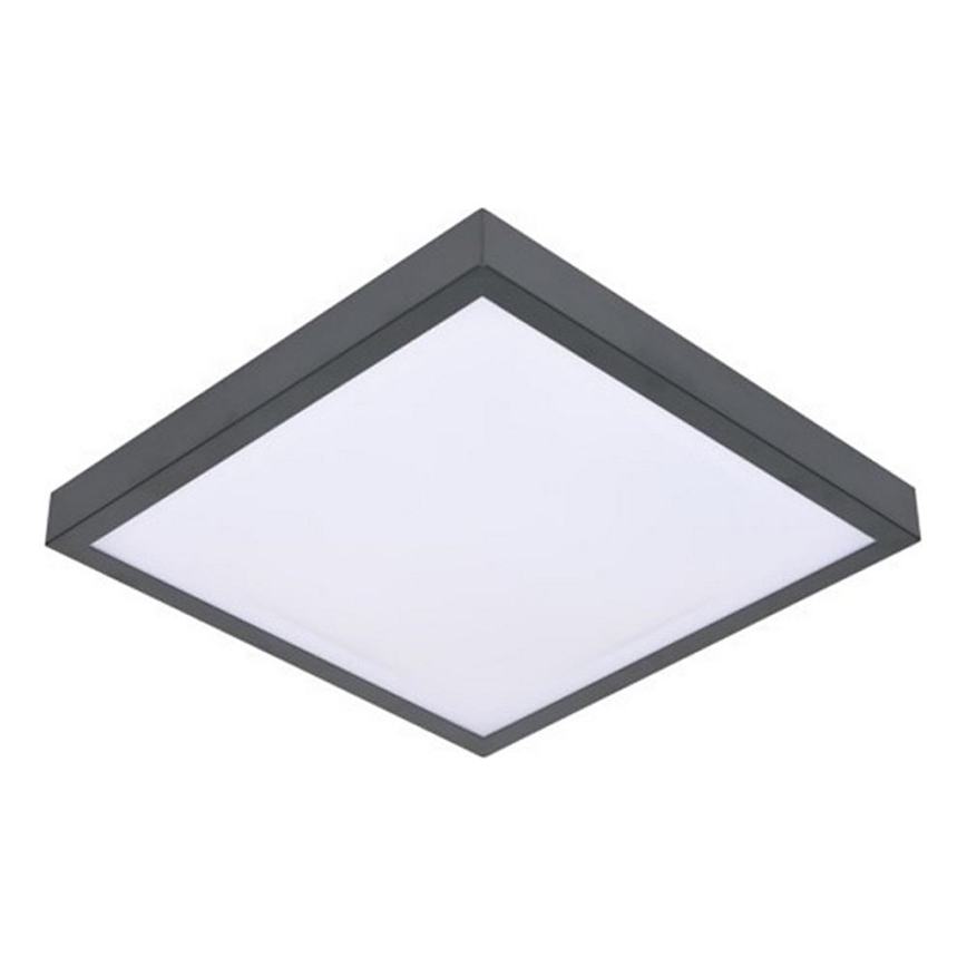 LED Stropna svetilka s senzorjem VITALI LED/24W/230V 4000K