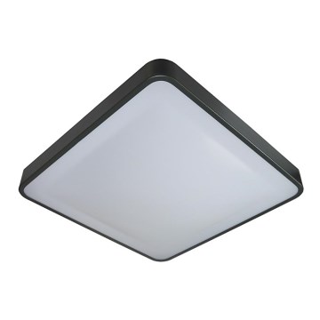 LED Stropna svetilka s senzorjem WILTON LED/24W/230V 37,5x37,5 cm antracit