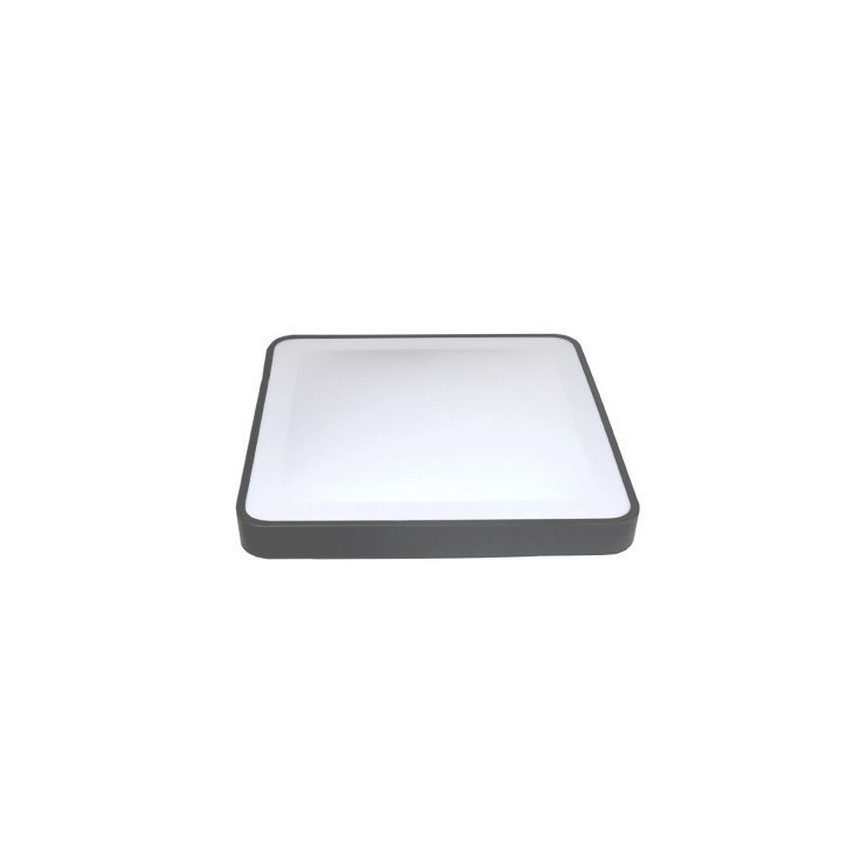 LED stropna svetilka s senzorjem gibanja in mraka WILTON LED/24W/230V 4000K 33x33 cm antracit