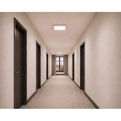 LED stropna svetilka z senzorjem gibanja in senzorjem mraka WILTON LED/24W/230V 4000K 33x33 cm bela