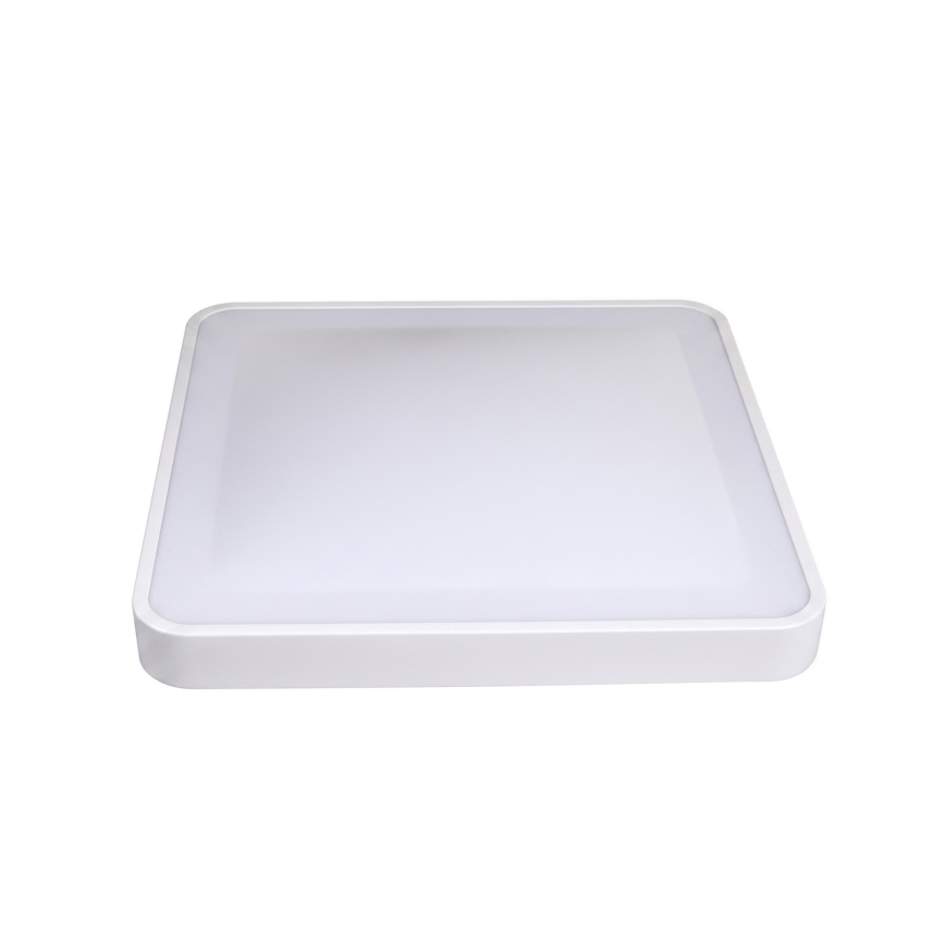 LED stropna svetilka z senzorjem gibanja in senzorjem mraka WILTON LED/24W/230V 4000K 33x33 cm bela