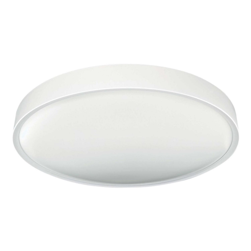 LED Stropna svetilka SAMER LED/24W/230V 4000K