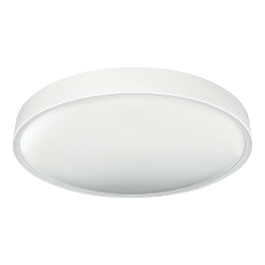 LED Stropna svetilka SAMER LED/40W/230V 4000K