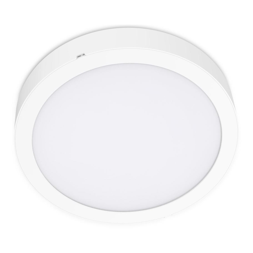 LED Stropna svetilka SIGARO CIRCLE LED/18W/230V 4000K IP40