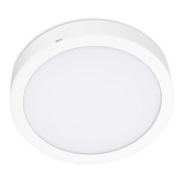 LED Stropna svetilka SIGARO CIRCLE LED/24W/230V 4000K IP40