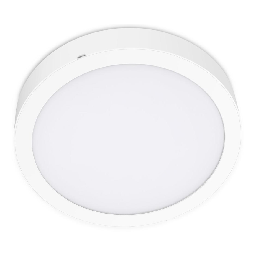 LED Stropna svetilka SIGARO CIRCLE LED/24W/230V 4000K IP40