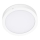 LED Stropna svetilka SIGARO CIRCLE LED/24W/230V 4000K IP40