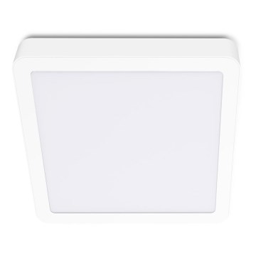 LED Stropna svetilka SIGARO SQUARE LED/18W/230V 4000K IP40