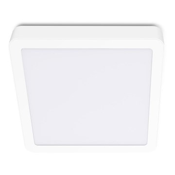 LED Stropna svetilka SIGARO SQUARE LED/24W/230V 4000K IP40