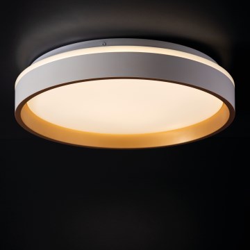 LED Stropna svetilka SOLN LED/17,5W/230V pr. 38 cm bela/zlata
