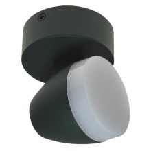 LED Stropna svetilka SURMUR LED/6W/230V zelena