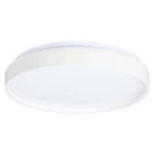 LED Stropna svetilka TEXAS LED/15W/230V bela