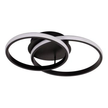 LED stropna svetilka TITANO LED/12W/230V črna