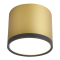 LED Stropna svetilka TUBA LED/9W/230V