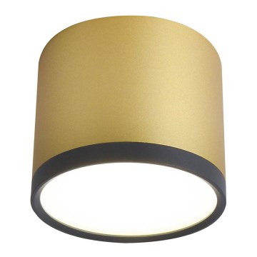 LED Stropna svetilka TUBA LED/9W/230V