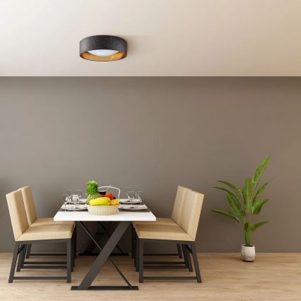 LED Stropna svetilka TULUZA LED/18W/230V premer 32 cm črn