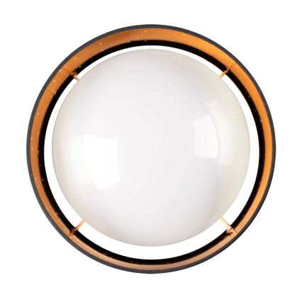 LED Stropna svetilka TULUZA LED/18W/230V premer 32 cm črn