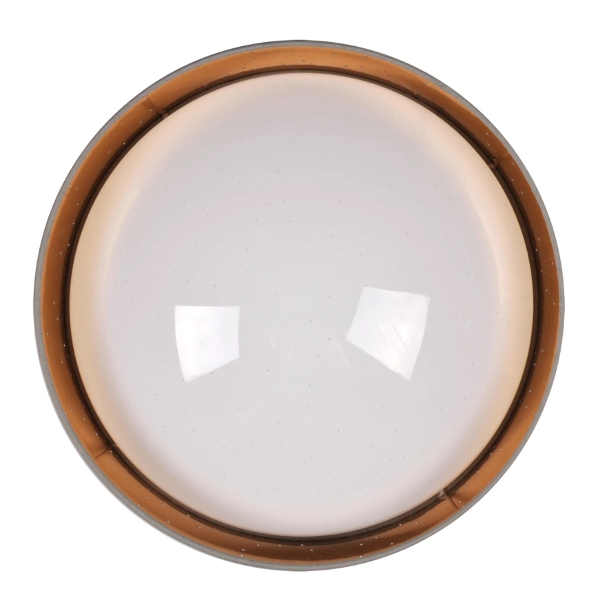 LED Stropna svetilka TULUZA LED/24W/230V premer 40 cm rjava