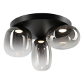 LED Stropna svetilka VASO LED/12W/230V pr. 42 cm črna/dimna